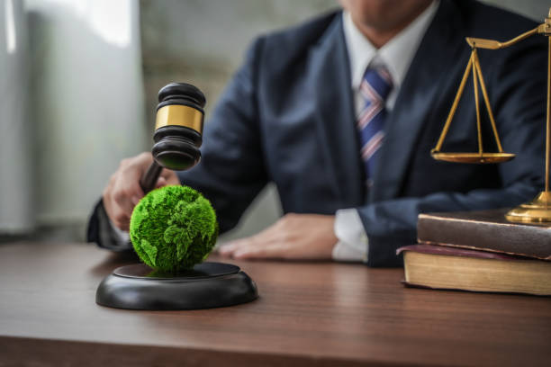 Why Every Growing Business Needs an Environmental Law Firm on Call